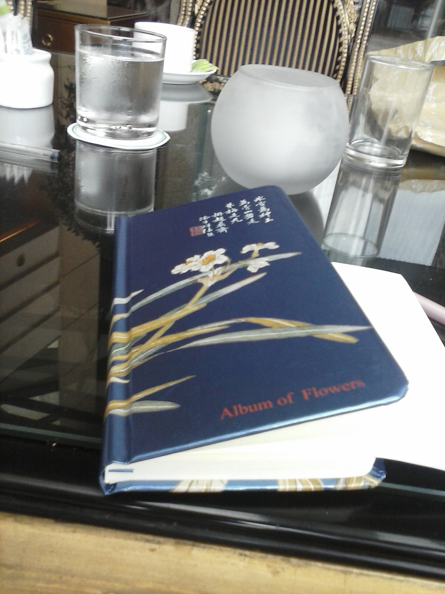 Cuaderno de viaje perdido en Shangai