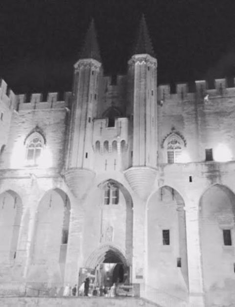 Palais de Papes, Avignon.16.8.16 Palais de Papes, Avignon.16.8.16