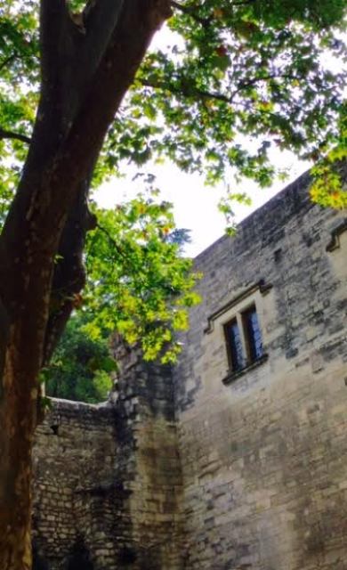 Rocher des Doms Rocher des Doms