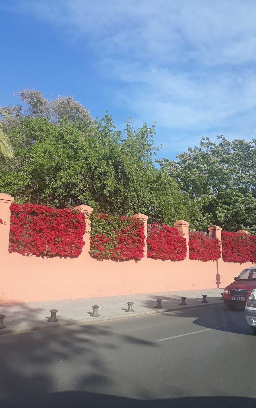 Esplendor Esplendor