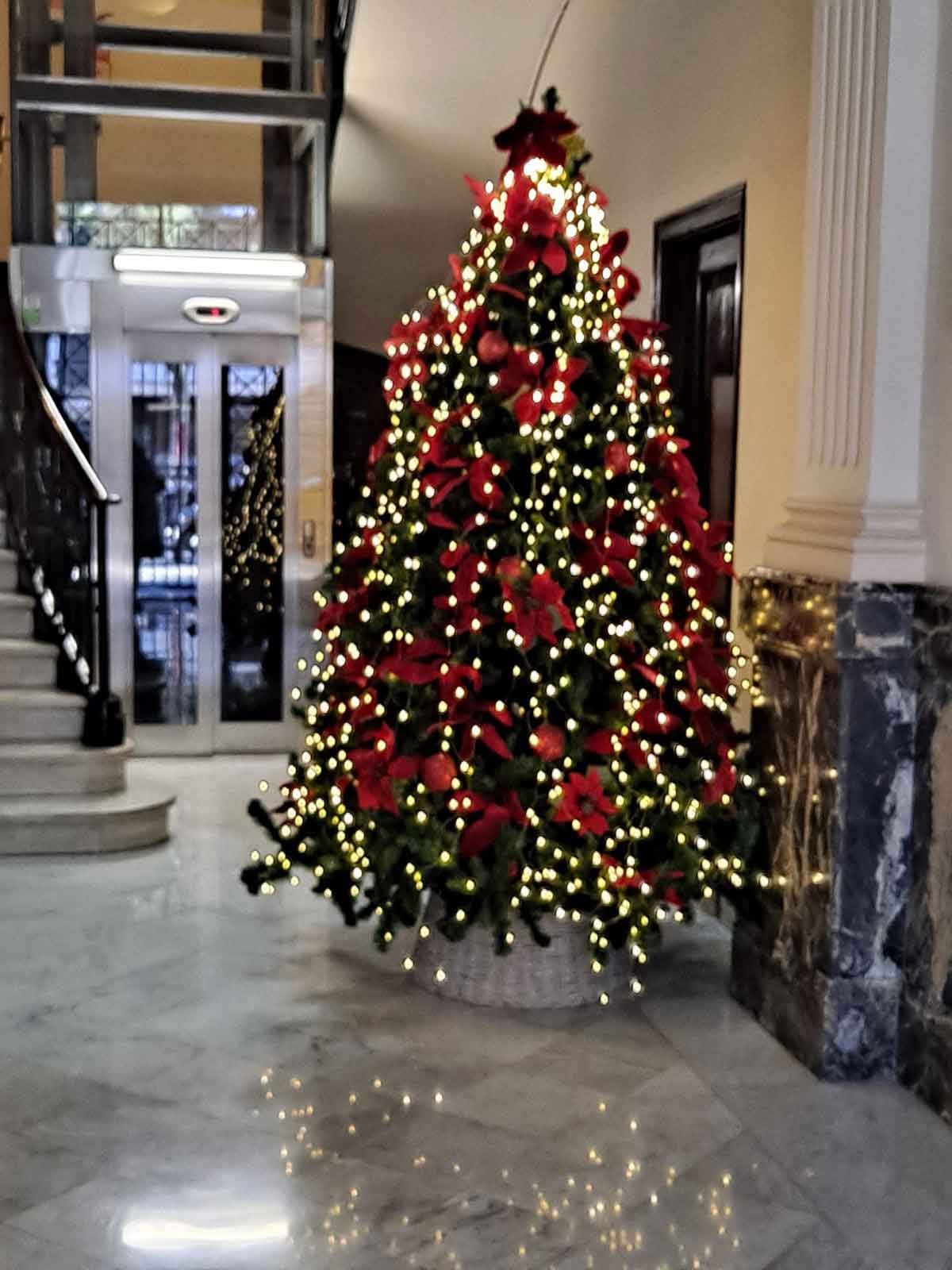 Navidad 2021 Navidad 2021