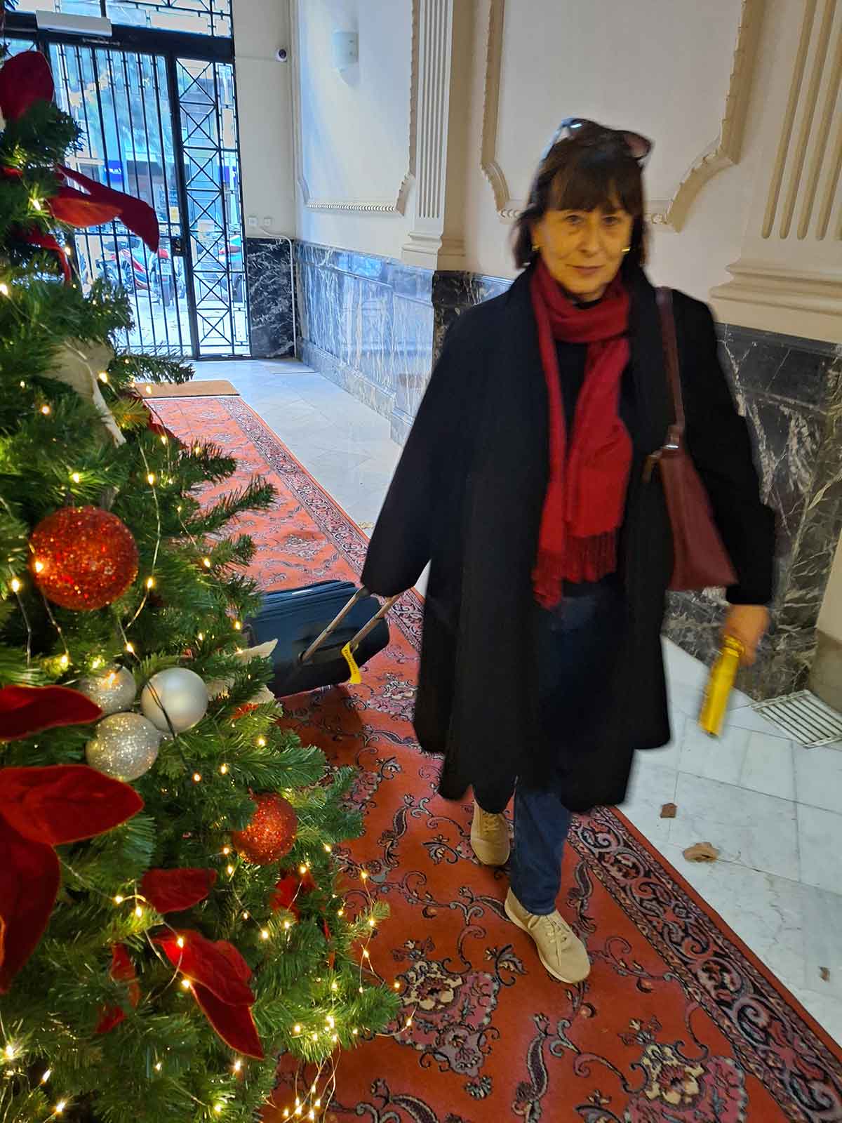 En casa por Navidad En casa por Navidad