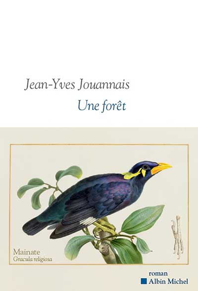 Une forêt, Jean-Yves Jouannais Une forêt, Jean-Yves Jouannais
